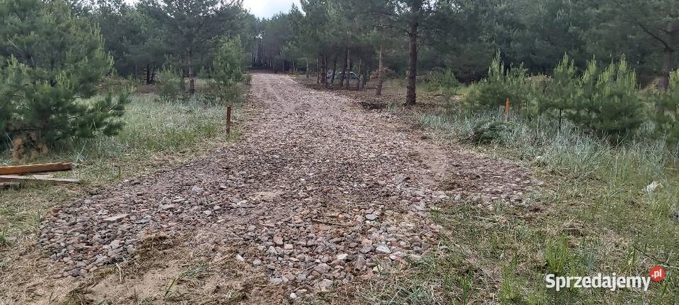 Sprzedam bezpośrednio działki budowlane KLEMPICZ