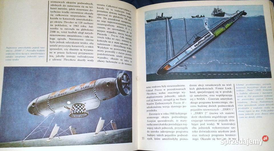 Tajemnice podmorskiego świata Piotr Oborski Chełm