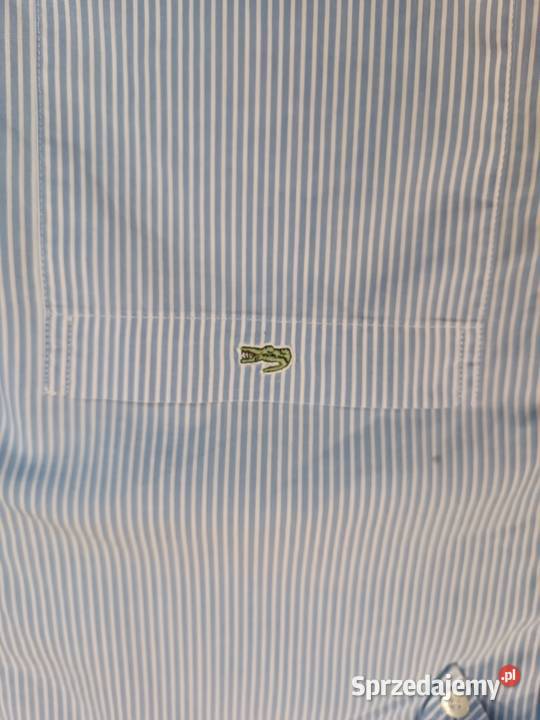 Lacoste koszula męska 40 L błękitna w paski stan Lacoste Katowice
