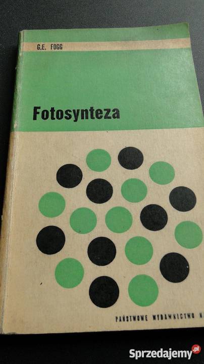 Fotosynteza GE Fogg Szczecin