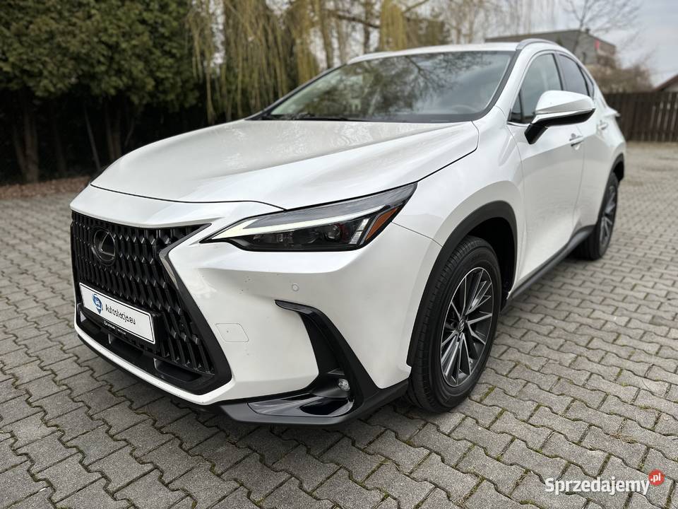 Lexus NX 350h 4x4 business edition wynajem z Lexus sprzedam