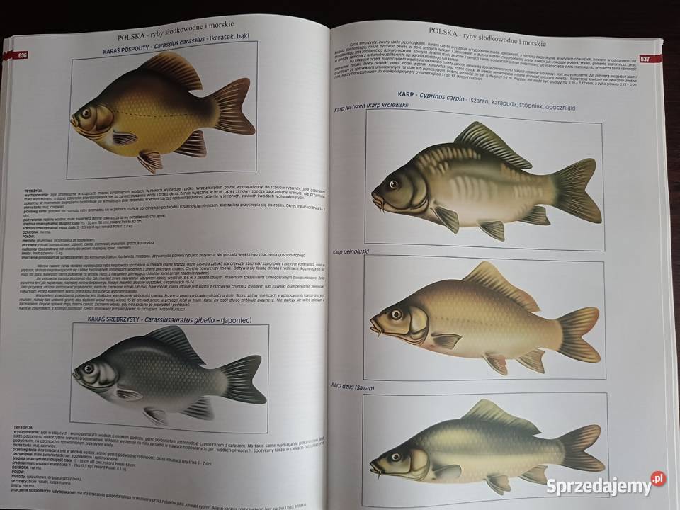 Polska encyklopedia wędkarsko turystyczna Sport i Wypoczynek mazowieckie Warszawa