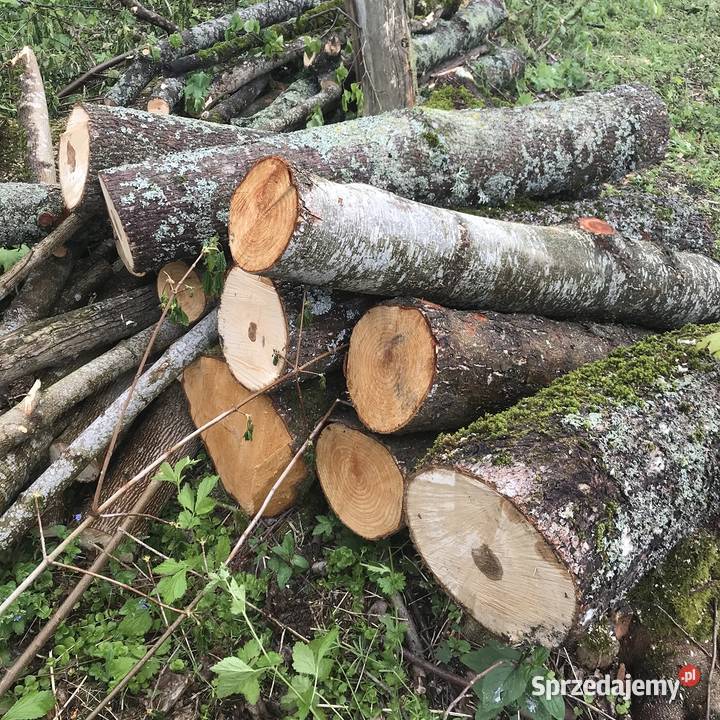 Drewno kominkowe opałowe budulec dł Jesion Dąb podlaskie Zabłudów