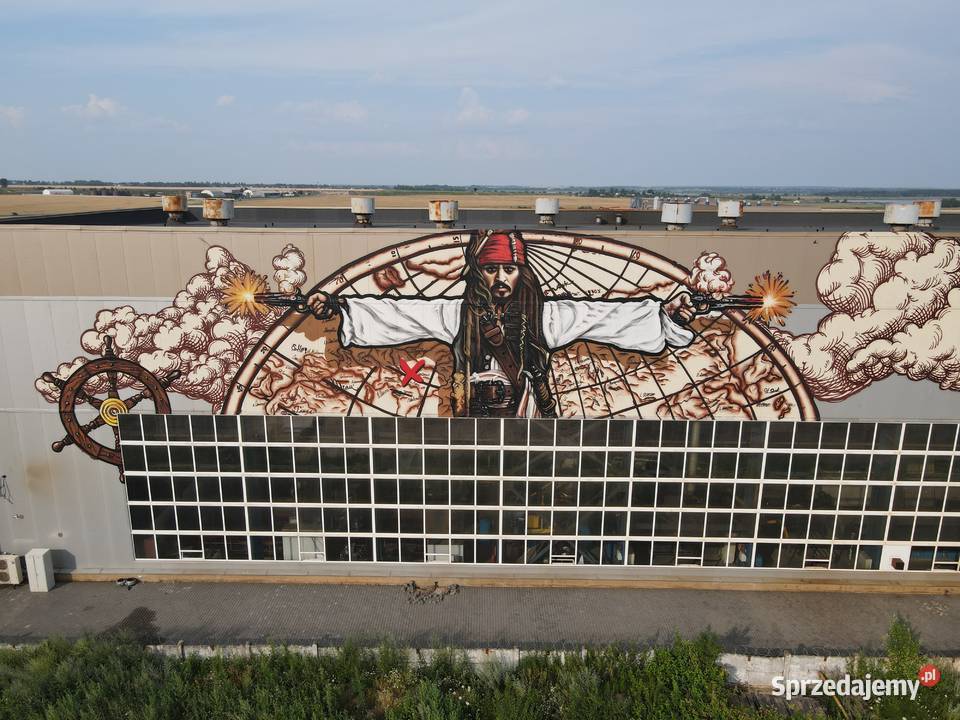 Artystyczne malowanie pokoju Murals pomorskie Gdańsk usługi budowlane