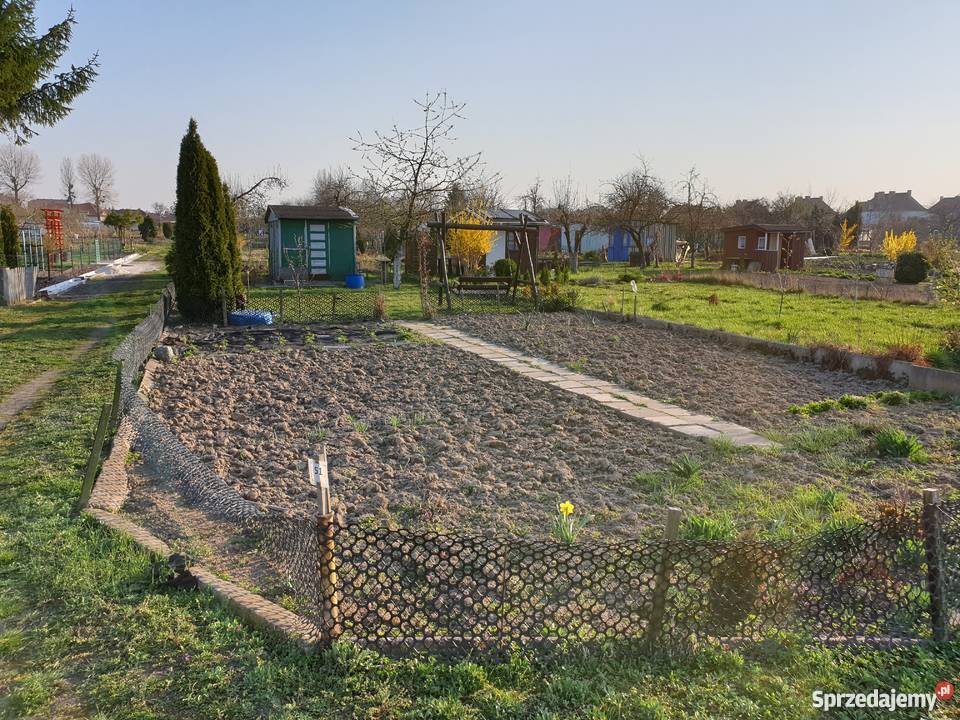 Działka ROD rekreacyjna ogrodowa Malbork sprzedam