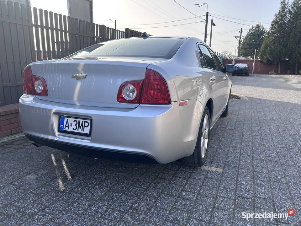 Chevrolet Malibu Opel Vectra Insignia GM Chevrolet Borzęcin Duży