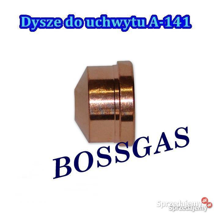 Dysza do uchwytów A101 i A141 wielkopolskie Gniezno