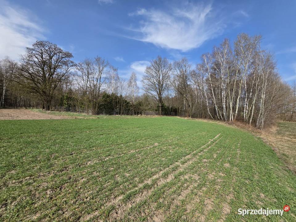 Działka rolna z możliwością budowy w uroczej 9036m2 łódzkie