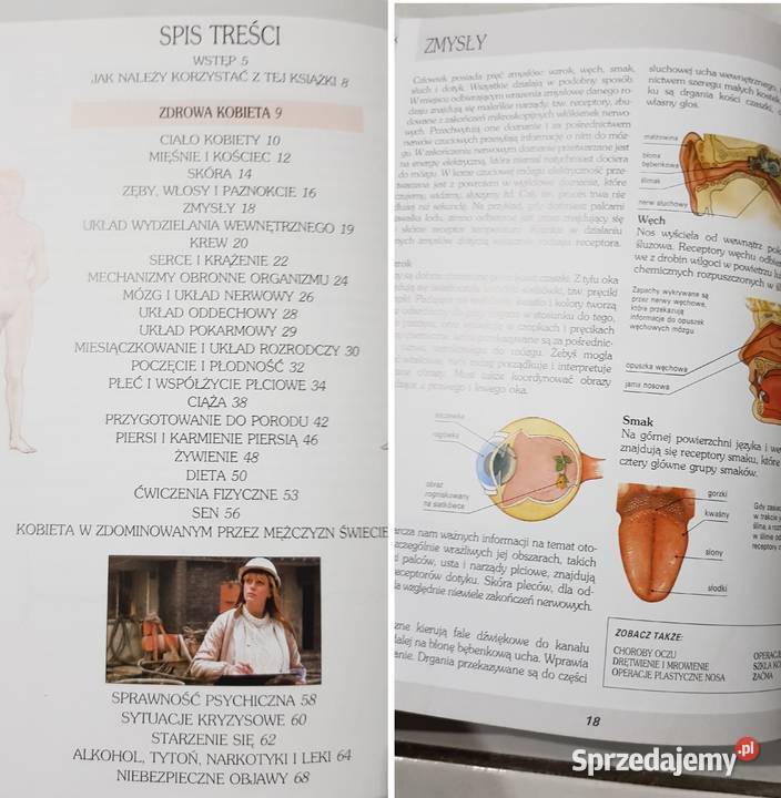 Kobieta A do Z Miriam Stoppard poradnik album Rok wydania 1994 świętokrzyskie