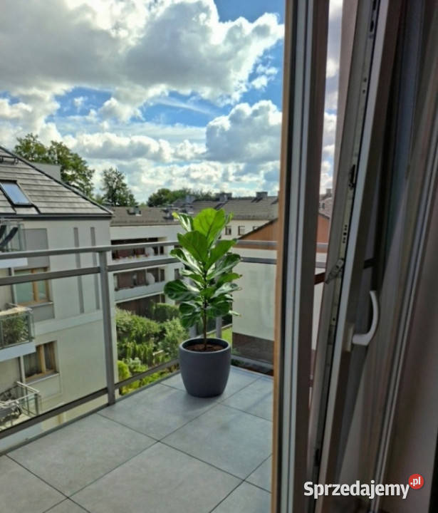 Wrocław Oporów Przestronne 66 m podłodze z