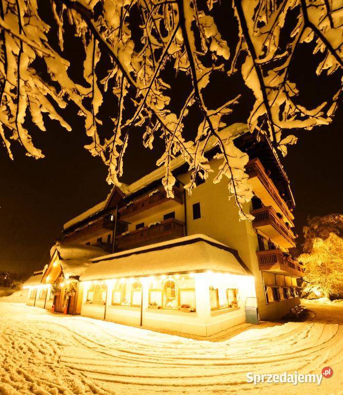 Narty we Włoszech Hotel RAUZI Male Kraków