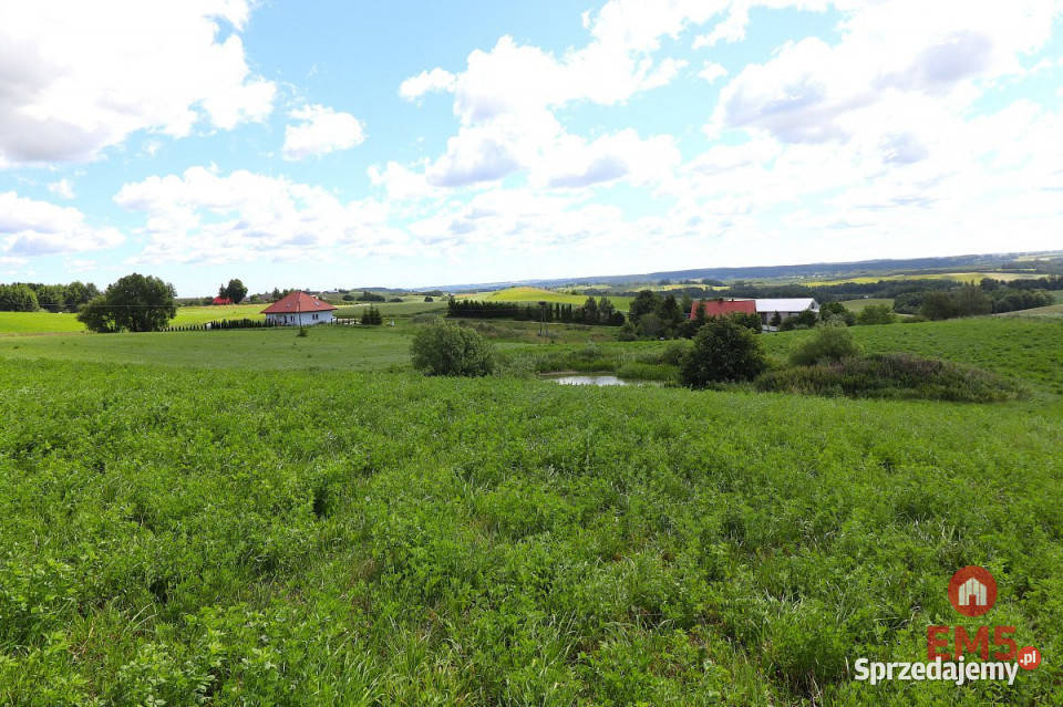 sprzedaży gruntu 4800m2 Olszanka Sprzedaż