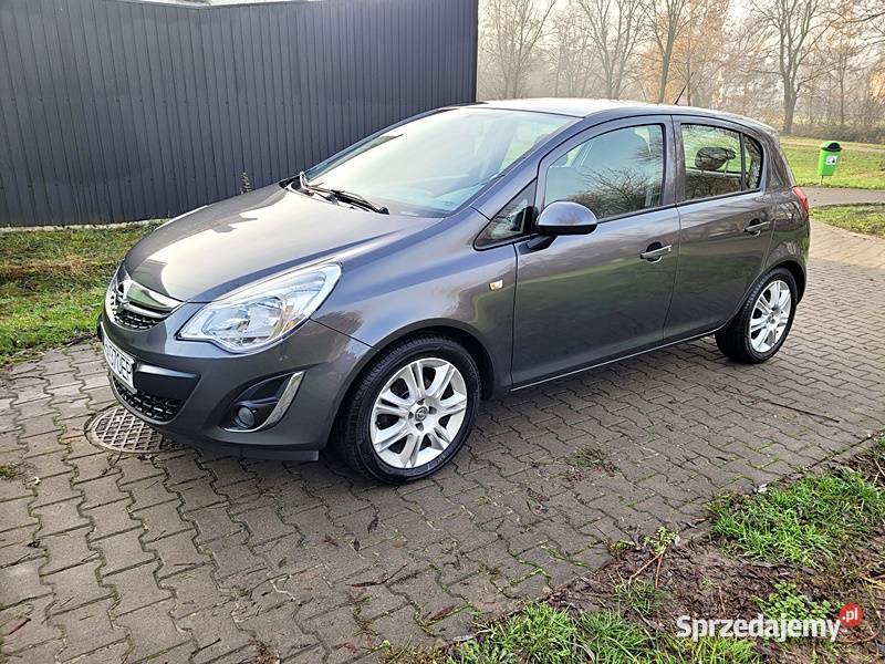 Godny polecenia benzyniaczek małopolskie Słomniki