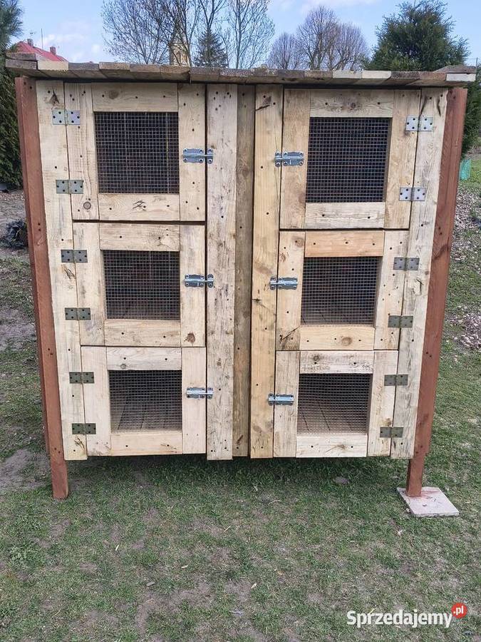 Klatka krolikow Wrocław