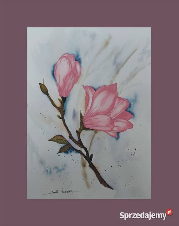 Akwarela Akwarelka Obraz pt Magnolia 225 x 30 Katowice