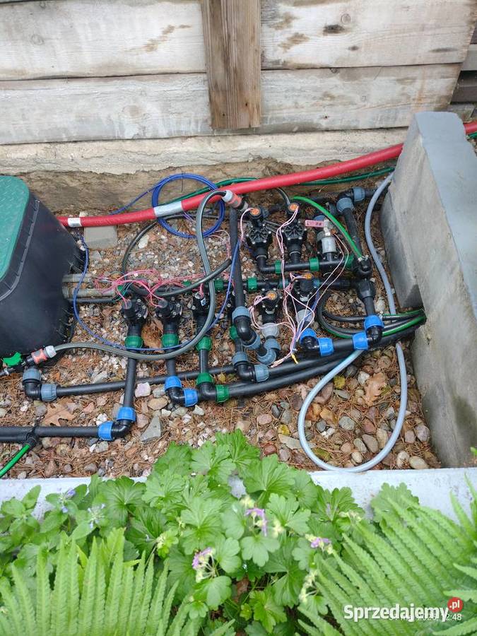 Ogród pielęgnacja budowa