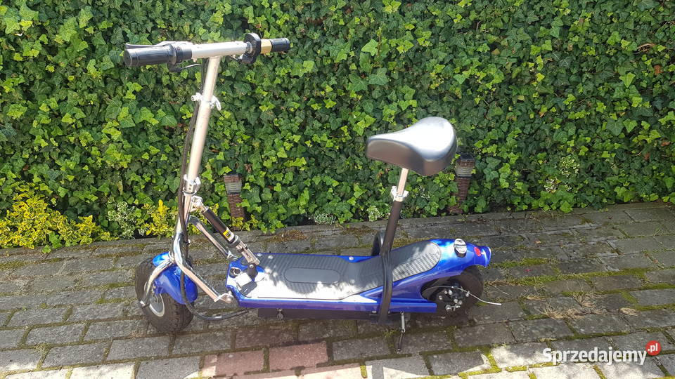 Hulajnoga Frugal Basic Gdynia