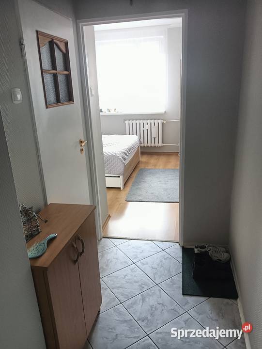 Sprzedam pom. użytkowe Mieszkania