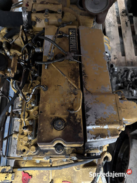 Cat Caterpillar Silnik 3054 560 2015 koni 1994 Jastrzębniki