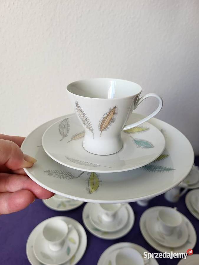 Serwis Rosenthal Bletta jesienne listki kujawsko-pomorskie Toruń