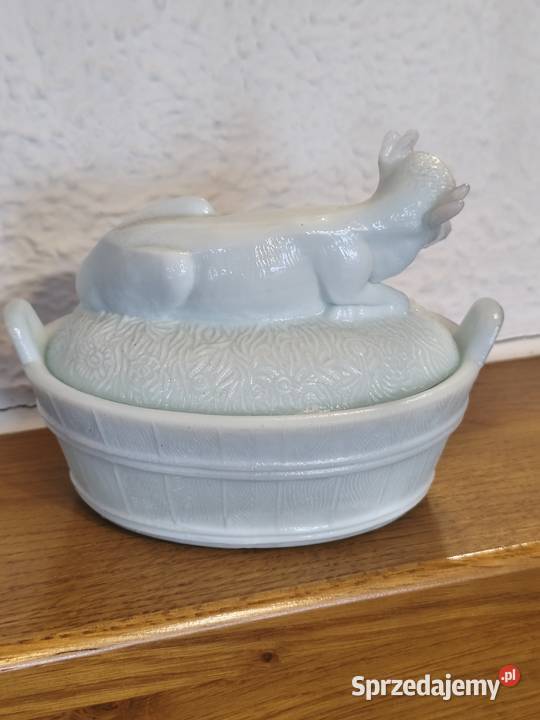 Krowa maselnica lattimo Ząbkowice Konin sprzedam