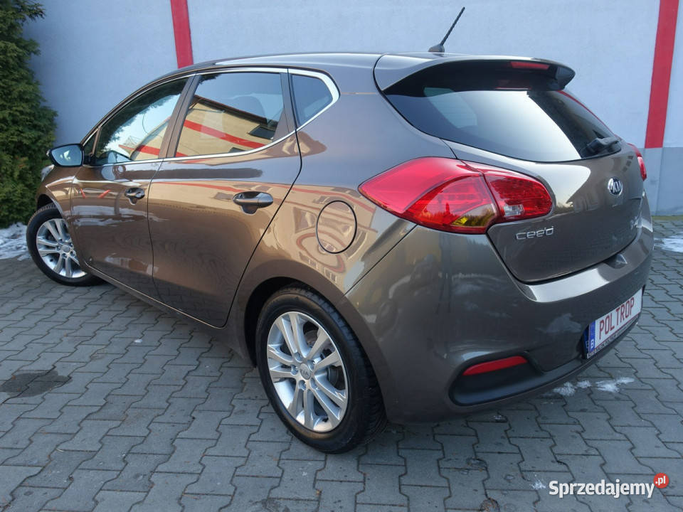Kia Ceed 16D Klimatronik Alu Ledy Bluetooth 1582cm3 Kia Częstochowa