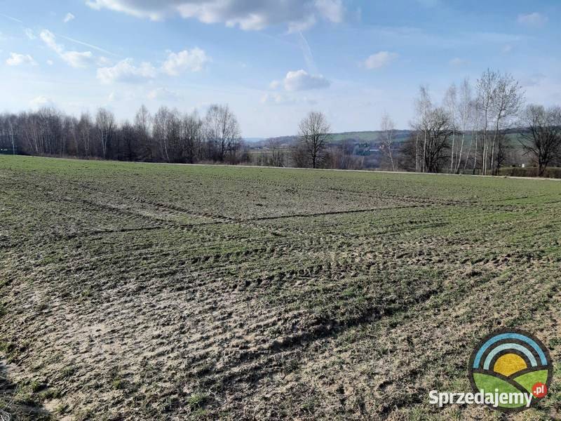 Brzoskwinia gm Zabierzów widokowa 42arowa