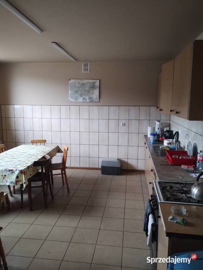 Wynajmę halęwarsztatitp Zgierz