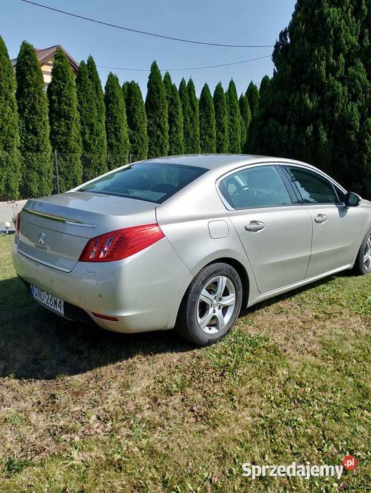 peugeot diesel pomorskie Nowy Dwór Gdański