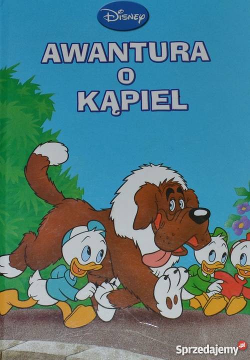AWANTURA O KĄPIEL WALT DISNEY lubelskie Zamość