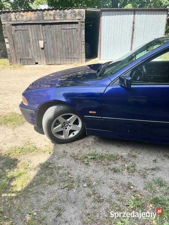 Bmw e39 Toruń