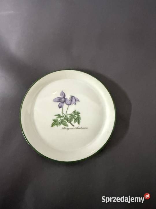 Talerzyki botaniczne lubuskie Gorzów Wielkopolski