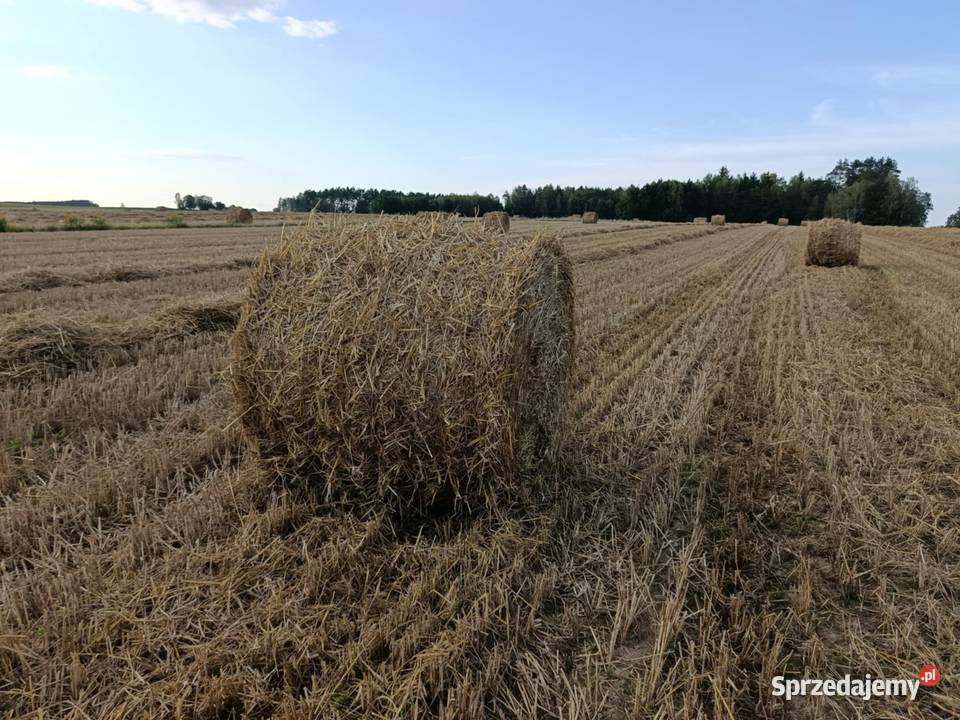 Bele słomy 130KR podlaskie