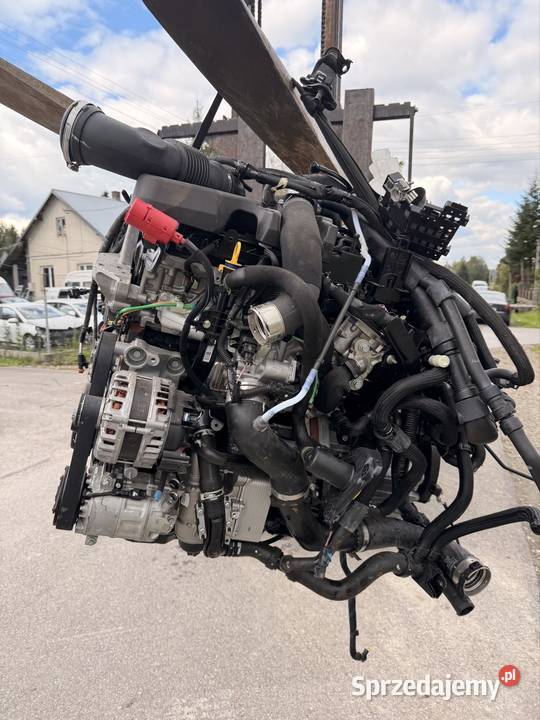 Renault Master 23 dCi M9T 726 kompletny silnik Przemyśl