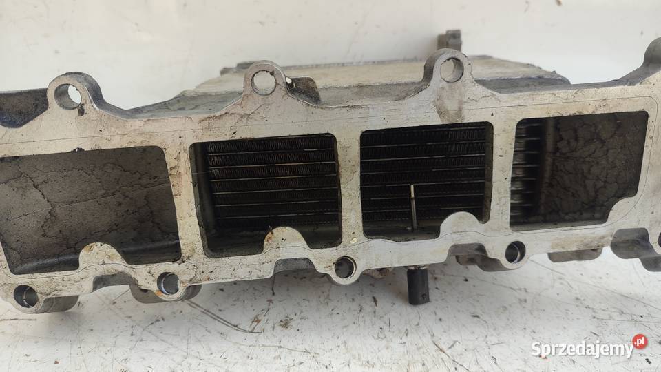 4VW GOLF VII AUDI A3 16 TDI KOLEKTOR SSĄCY Włoszczowa