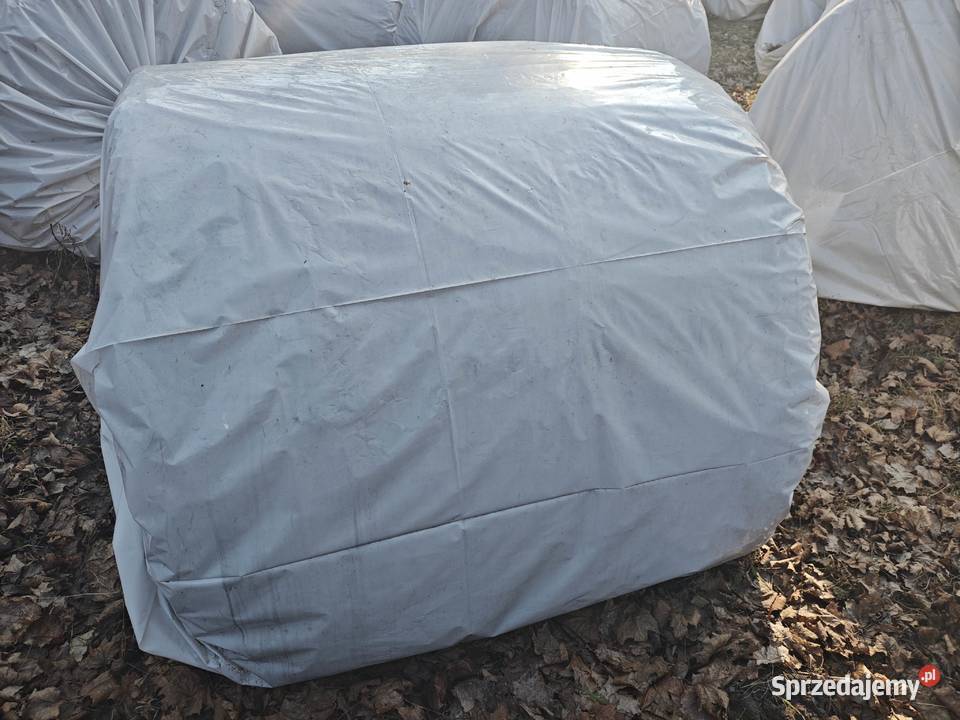 Bele sianokiszonka lucerna i koniczyna baloty Rolnictwo Nowe Hołowczyce