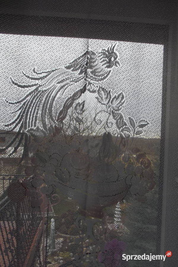 Mała firanka żakard papuga szer123 wys162 Piekary Śląskie