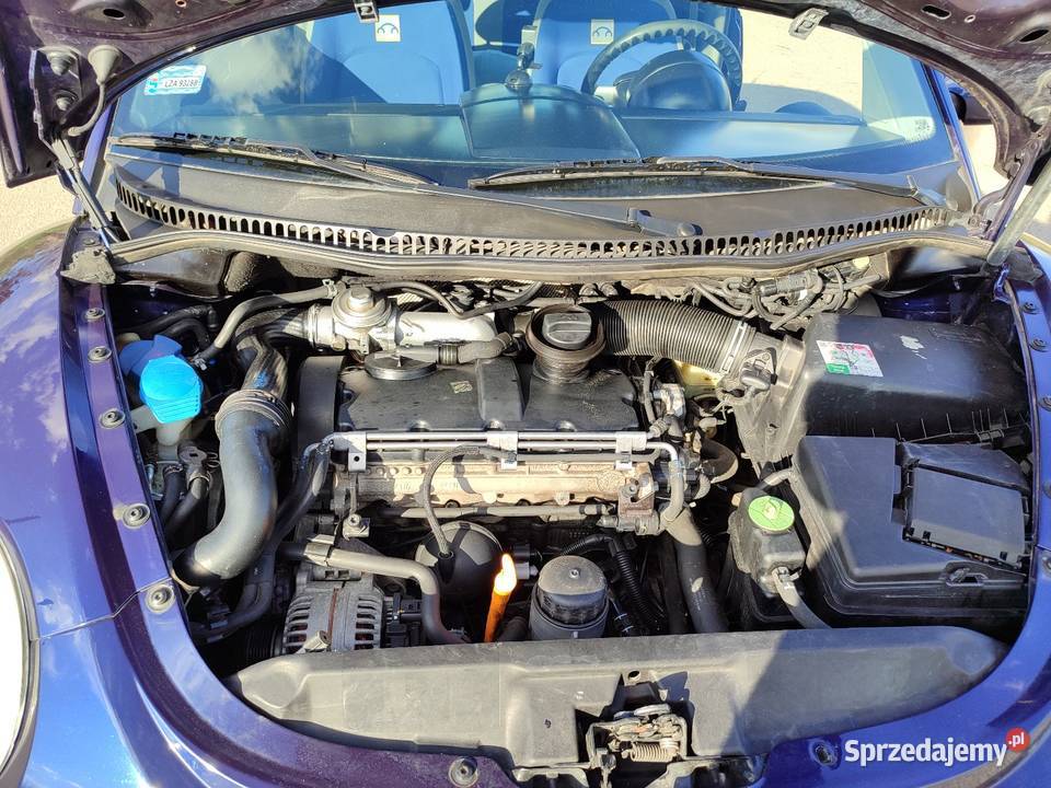 VW Beetle lubelskie