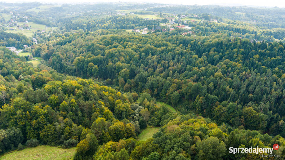 Działka rolnoleśna w Jodłówce Tuchowskiej Jodłówka Tuchowska