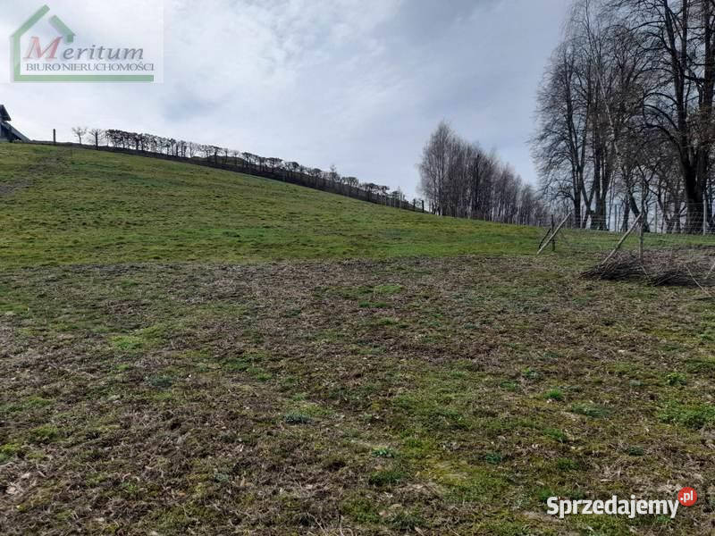 Grunt Korczyna 786 metrów Grunty i działki sprzedam
