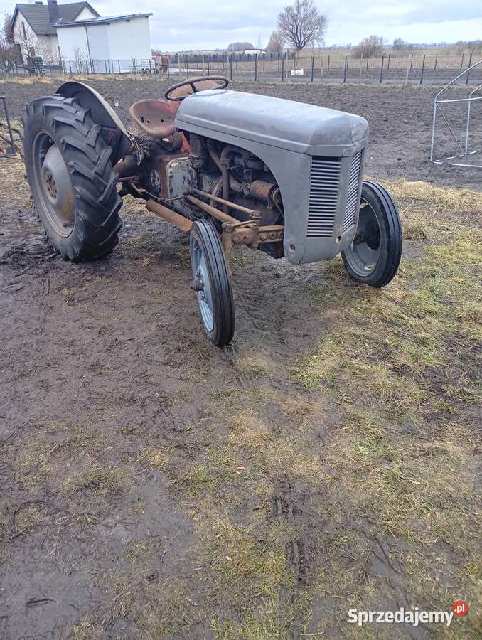 Sprzedam Fergusona TEA 20 w Gniezno