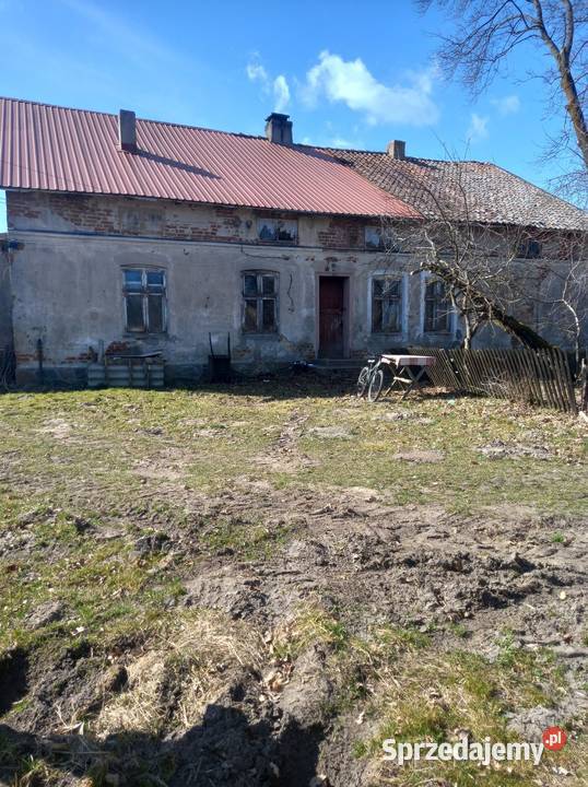 Dom Wolnostojący Sprzedaż Wola Wilknicka