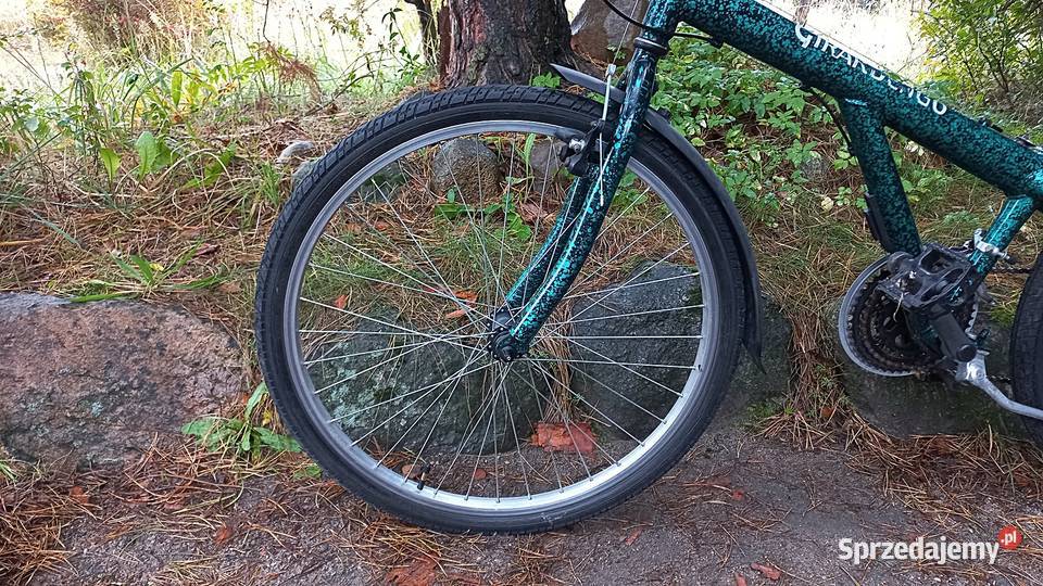 Włoski Rower Górski Mtb Retro Vintage Girardengo Wołów