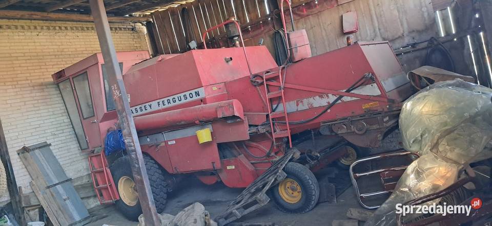 Massey ferguson 506 Zbożowe Pawłów sprzedam