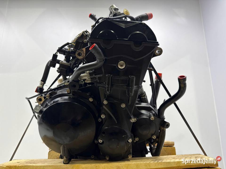 SILNIK Triumph Daytona 675 Street Triple Motor Rudka