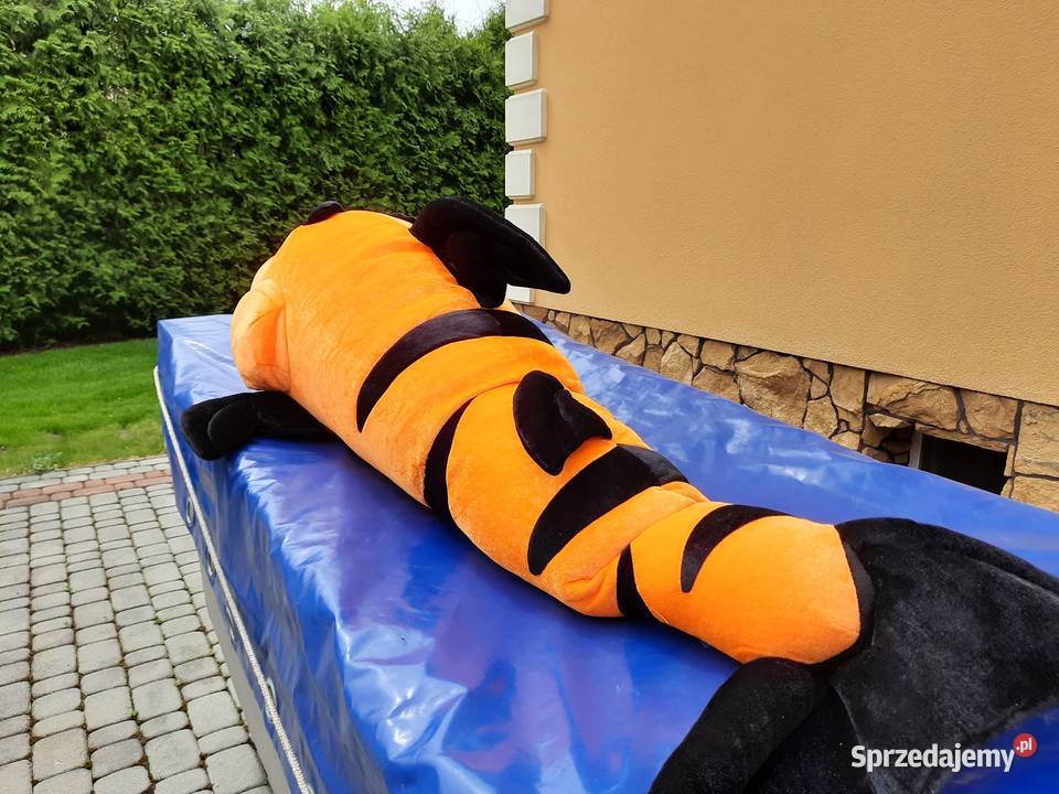 Maskotka rybka nowa 2metry długości Maskotki Rzeszów