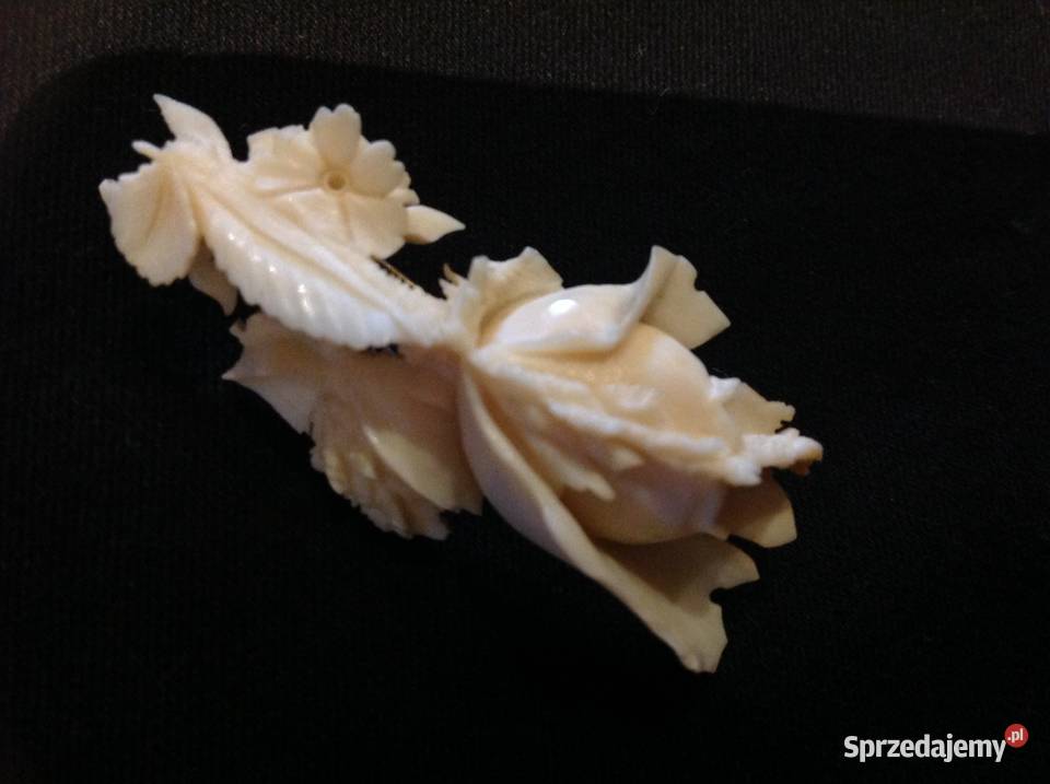 Róża Stara Broszka z Kości Nowa Sól