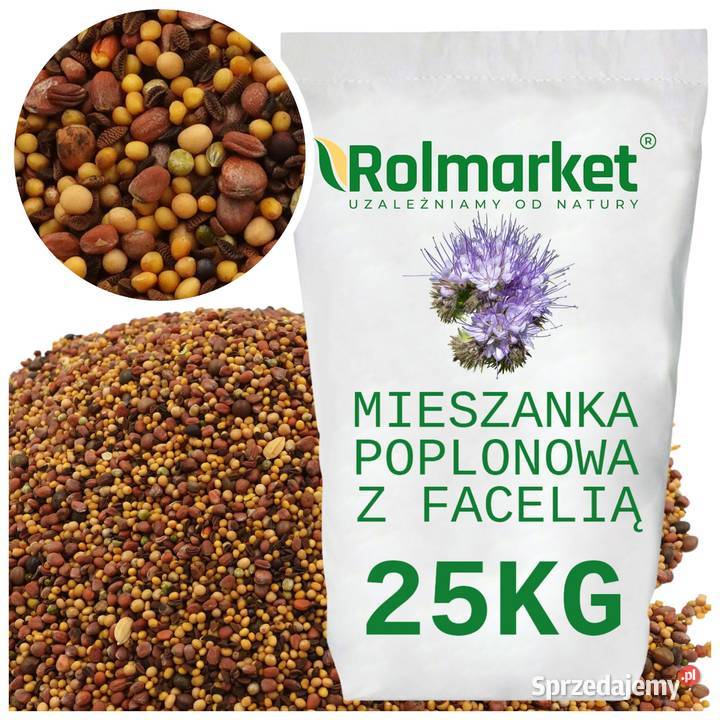 Nasiona Łubin Facelia Gorczyca Wyka Mieszanka Cieśle