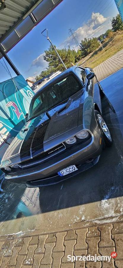 Dodge Challenger 36 gniazdo SD Wieleń