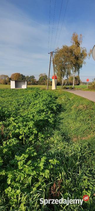 Działki budowlane 1200m2 Krukowo pow kolski sprzedam
